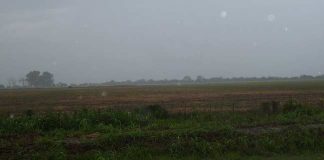 lluvia, clima, campo