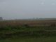 lluvia, clima, campo