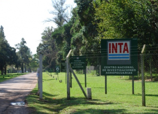 inta