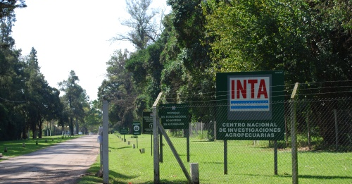 inta