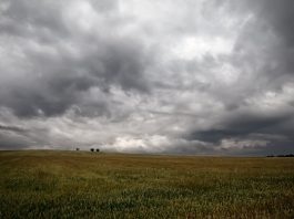 Pronostican lluvias escasas para la mayor parte de la región agrícola durante la próxima semana