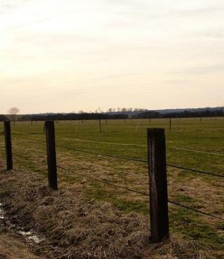 campo