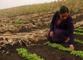 mujer rural