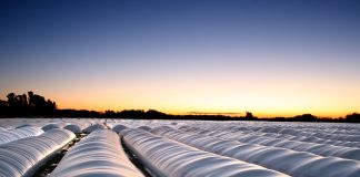 silo bolsas, silobolsas