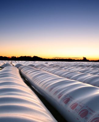silo bolsas, silobolsas
