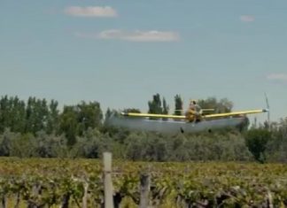 avion, insecticida