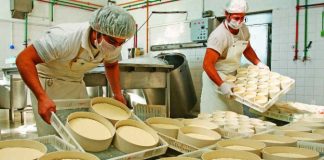 lacteas, lechería, pymes