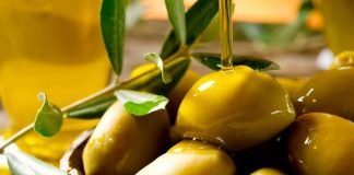 olivicolas, aceitunas