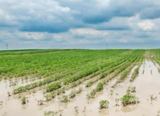santa fe, inundación, campos