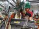 industria