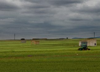 lluvia, campo