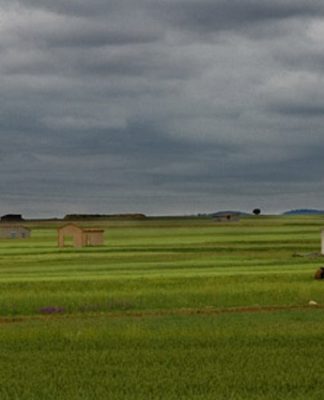 lluvia, campo