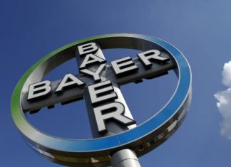 bayer