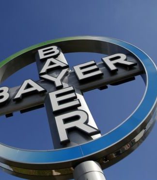 bayer
