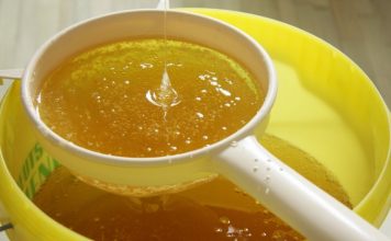 Confirmado: Argentina exportará miel a China miel