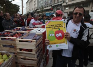 frutazo