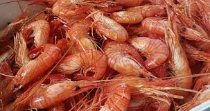 camarones