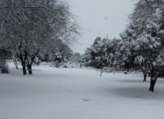 nieve