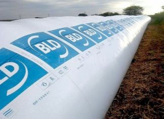 bld