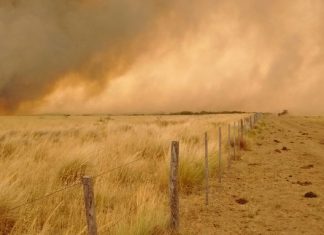 incendio