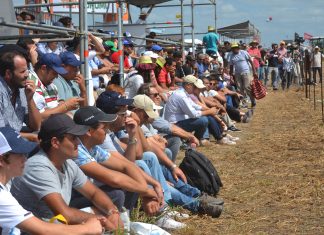 expoagro 1