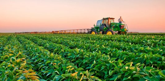La siembra de sorgo finalizó en 900 mil hectáreas y cobra impulso la cosecha de maíz