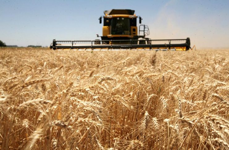 Mejoraron los márgenes del agro, pero la presión impositiva sigue golpeando fuerte a los productores
