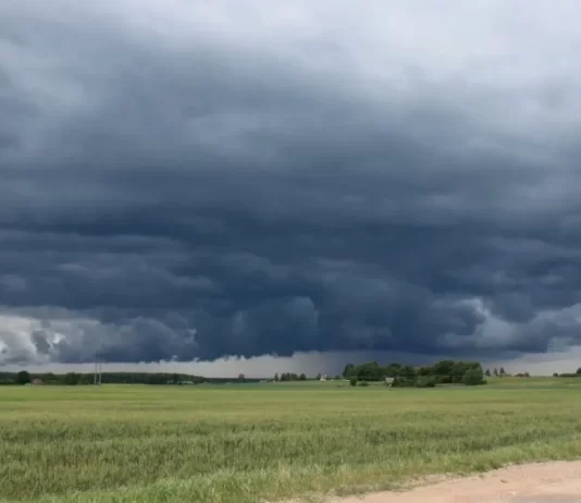 El regreso de “El Niño” pone al campo en alerta: el INTA recomienda ajustar estrategias para la próxima campaña