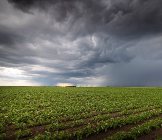 Marzo comenzará con lluvias abundantes en parte de la región agrícola y escasas en otras zonas