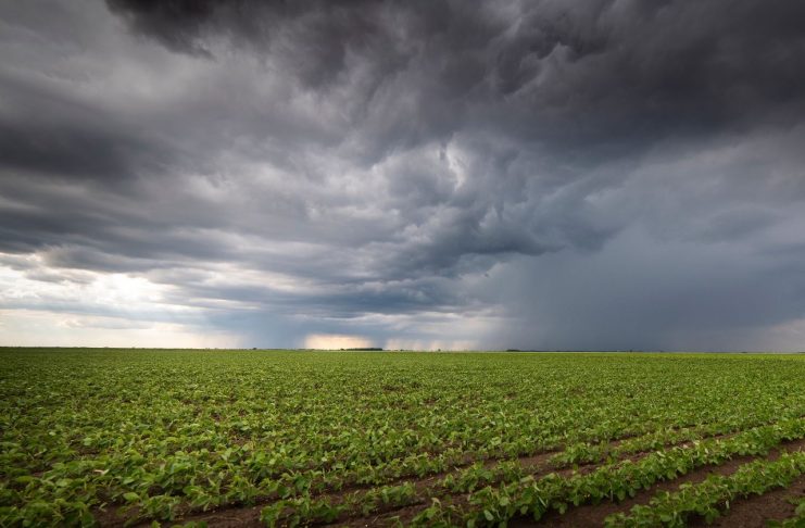 Marzo comenzará con lluvias abundantes en parte de la región agrícola y escasas en otras zonas