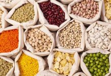 Legumbres en Argentina: récord productivo en cinco años y un sector con potencial estratégico