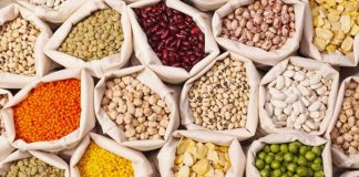 Legumbres en Argentina: récord productivo en cinco años y un sector con potencial estratégico