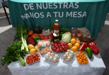 Alianza productiva: Corrientes busca llevar sus alimentos a las ferias y mercados bonaerenses