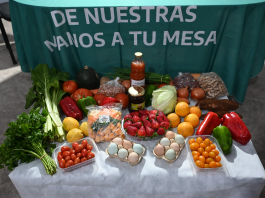 Alianza productiva: Corrientes busca llevar sus alimentos a las ferias y mercados bonaerenses