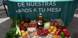 Alianza productiva: Corrientes busca llevar sus alimentos a las ferias y mercados bonaerenses